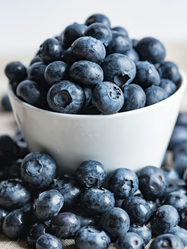 How Blueberries from New Jersey Become a Superfood