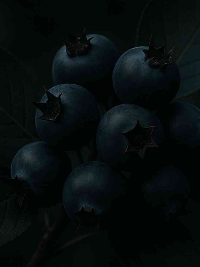Saskatoon Berries🫐 (4)